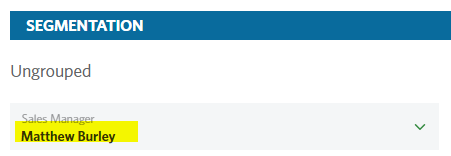 Image of the 'Sales manager' dropdown under the Segmentation section in StoneShot.